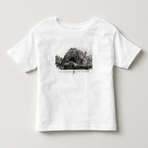 Camiseta Aparição da Virgem Maria