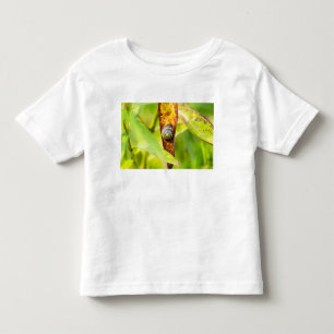 Camiseta apego calmo