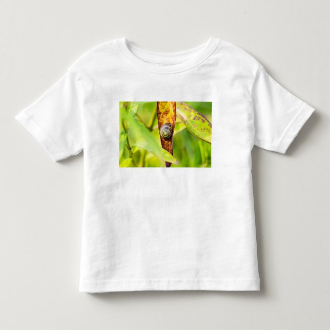 Camiseta apego calmo (Frente)