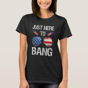 Camiseta Apenas Aqui Para Bang American Sunglass Firework 4