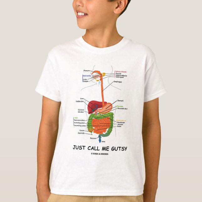 Camiseta Apenas chame-me valente (o humor do sistema (Frente)