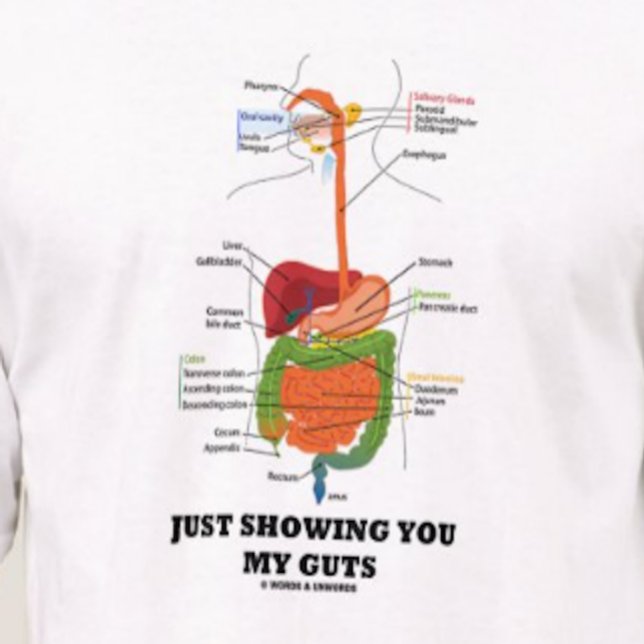 Camiseta Apenas mostrando lhe minha entranhas (pia batismal (T-shirt featuring human digestive system for anyone who desires to say "Just Showing You My Guts")