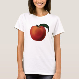 Camiseta Apenas Peachy