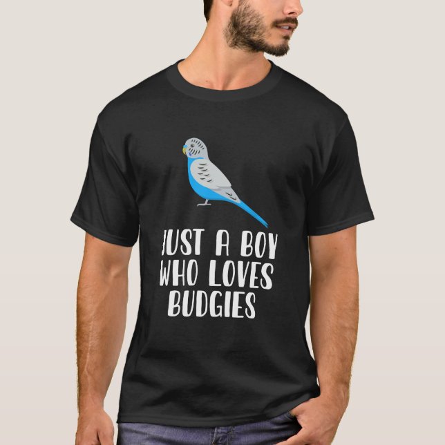 Camiseta Apenas Um Menino Que Adora Orçamentos (Frente)