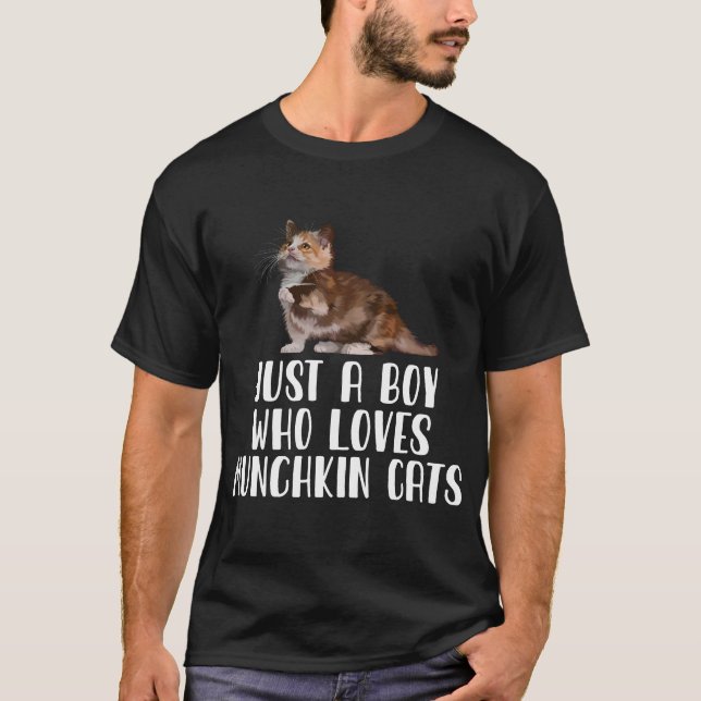 Camiseta Apenas Um Menino Que Ama Gatos De Munchkin (Frente)