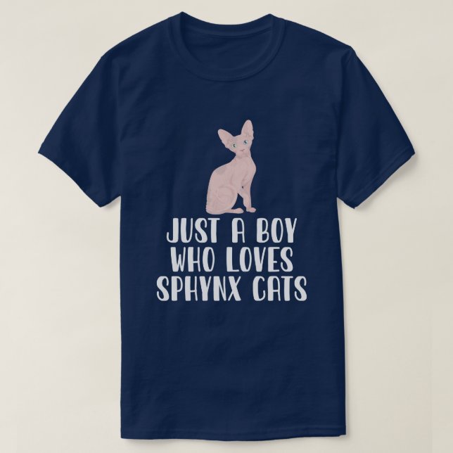 Camiseta Apenas Um Menino Que Ama Gatos Esfinges (Frente do Design)