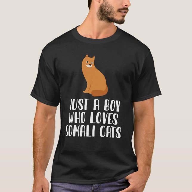 Camiseta Apenas Um Menino Que Ama Gatos Somalis (Frente)