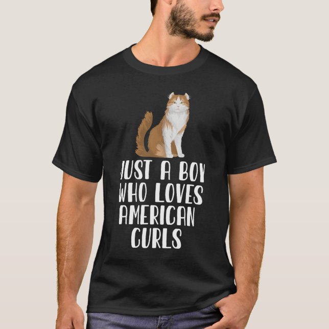 Camiseta Apenas Um Menino Que Ama Os Curls Americanos (Frente)
