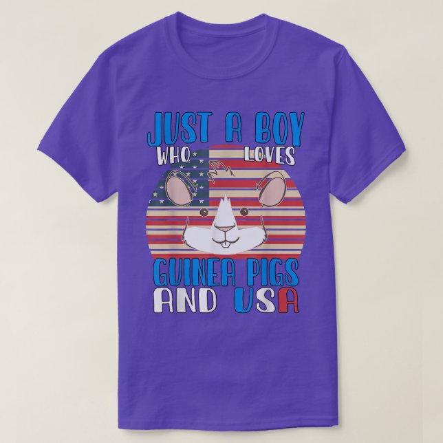 Camiseta Apenas Um Menino Que Ama Suínos Guiné E Usa3397 (Frente do Design)