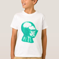 Aqua Knight Armor Medieval Capmet Knights