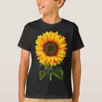 Aquarela girassol amarelo jardim botânico verão