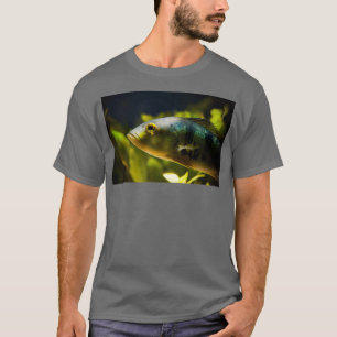 Camiseta Aquarium striped fish portrait