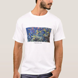 Camiseta Aquatics de JC