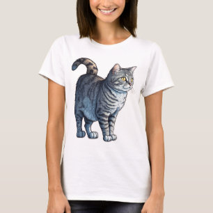 Camiseta Aqui Gatinho, Gatinho! Todo mundo ama um gato de m
