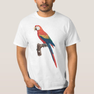 Camiseta Ara Canga Parrot
