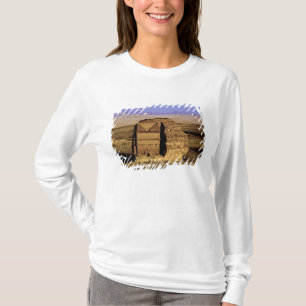 Camiseta Arábia Saudita, local de Madain Saleh, antiga