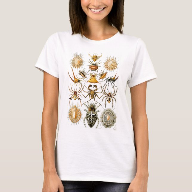 Camiseta Arachnida (Aranhas), Ernst Haeckel Belas Artes (Frente)