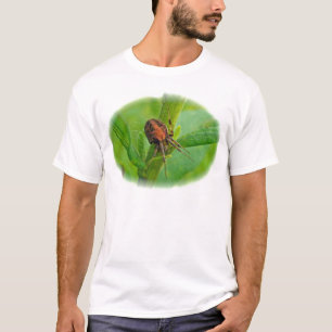 Camiseta Araneus Laranja Marrom