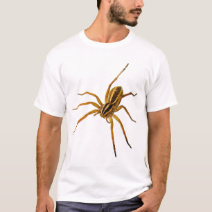 Camiseta Aranha-lobo Rabid (Rabidosa rabida)