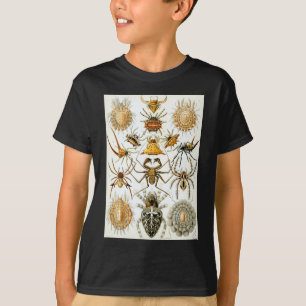 Camiseta Aranhas dos aracnídeos de Ernst Haeckel