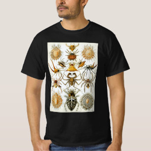Camiseta Aranhas Vintage ou Aracnídeos por Ernst Haeckel