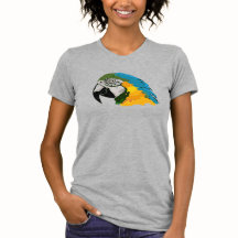 Arara Azul e Dourada Ousada