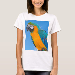 Camiseta Arara-macau azul e amarela