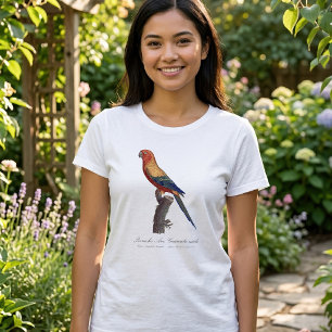 Camiseta Aratinga-solsticial, Aratinga Solstitialis