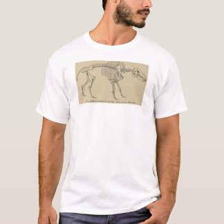 Camiseta Archaeotherium