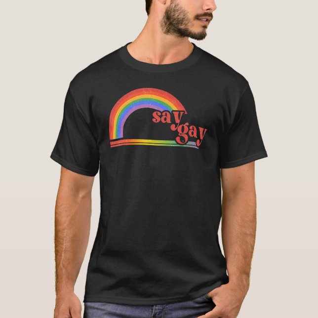 Camiseta Arco-íris Diz Gay Proteja Mês do Orgulho Queer LGB (Frente)
