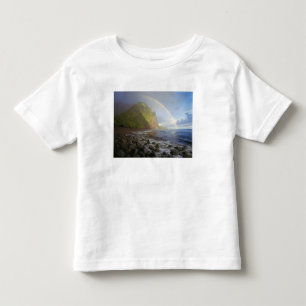 Camiseta Arco-íris duplo sobre as falésias do Norte
