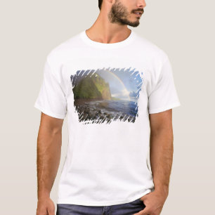 Camiseta Arco-íris duplo sobre as falésias do Norte