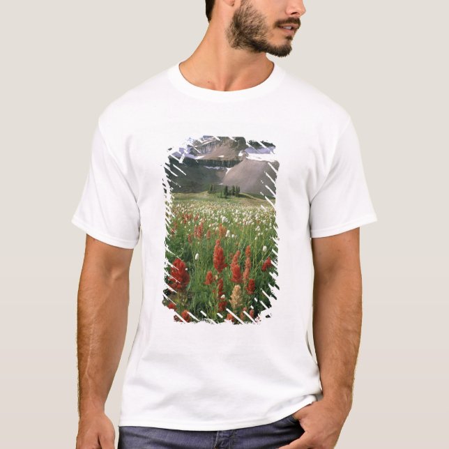 CAMISETA ÁREA SILVESTRE DE MOUNT TIMPANOGOS, UT, EUA, (Frente)