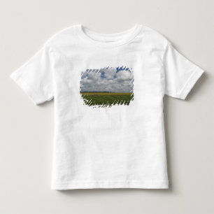 Camiseta Argentina, Buenos Aires, San Antonio de Areco.