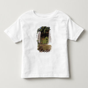 Camiseta Argentina, Iguaçu, cataratas do Iguaçu. Salto Dos
