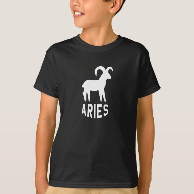 Camiseta Áries (Frente)