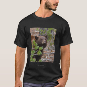 Camiseta Aristotle