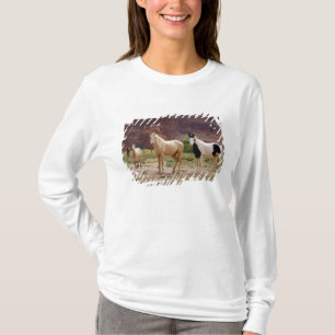 Camiseta Arizona, Reserva Indígena Navajo, Chinle,