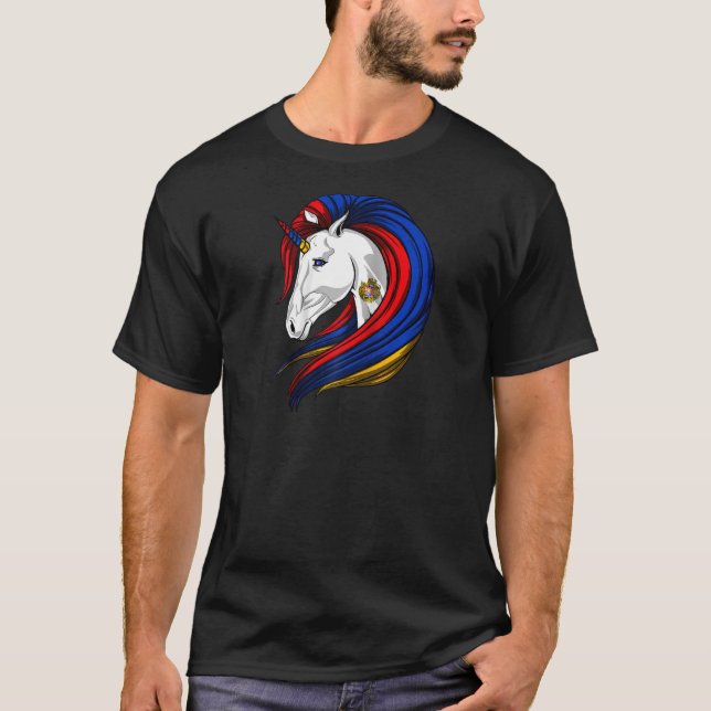 Camiseta Armênia Flag Armenian Raglan (Frente)