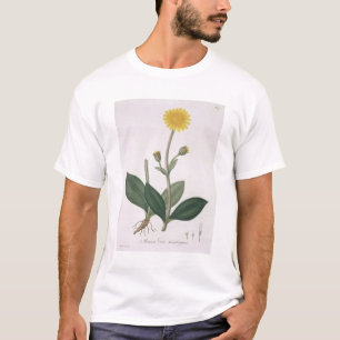 Camiseta Arnica Montana de "Phytographie Medicale" por Jos