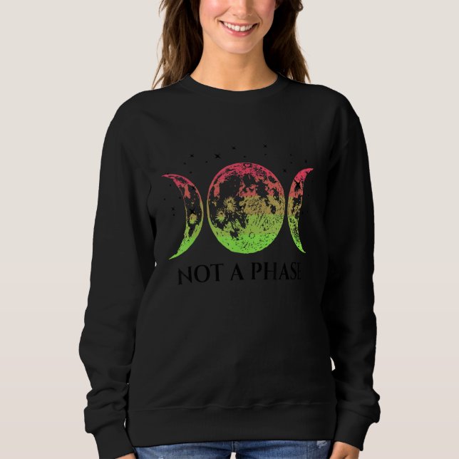 Camiseta Aroflux Pride Flag Not A Phase Aroflux Flag (Frente)
