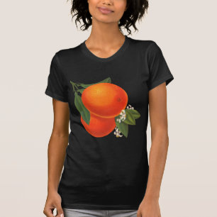 Camiseta Arte de Crato de Vintagem de Laranjas