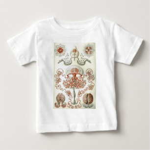 Camiseta Arte do vintage Ernst Haeckel Anthomedusae da