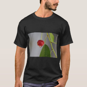 Camiseta Arte inicial de queda de fruta