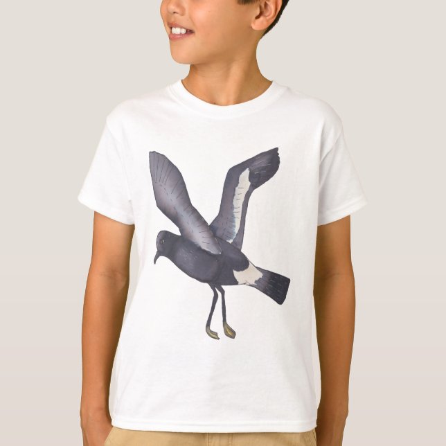 Camiseta Arte sobre aves Storm-Petrel (Frente)