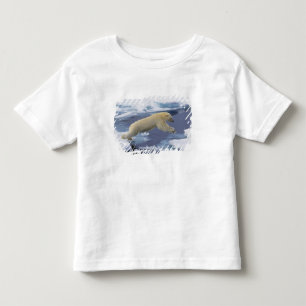 Camiseta Ártico, Svalbard, Urso Polar estendendo