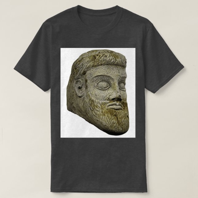 Camiseta Artigo 1.o (Frente do Design)