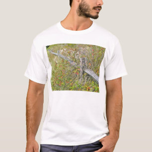 Camiseta Artigos de coordenação da cerca & do toxidendro