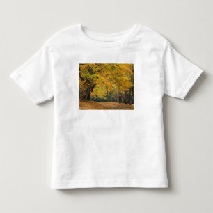 Camiseta Árvore de bordo de outono sobreposta à estrada rur