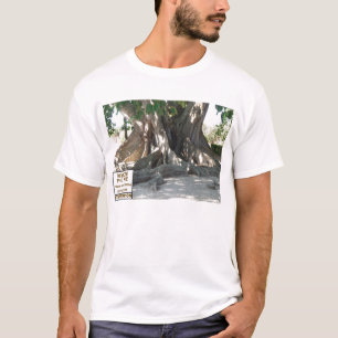 Camiseta Árvore de figo de Mysore do campeão de estado de